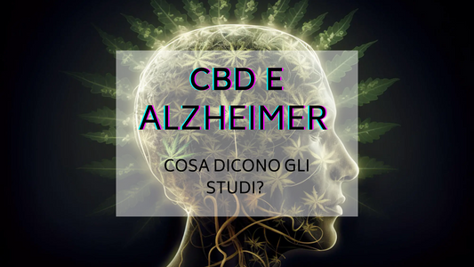Morbo di Alzheimer e Cannabis - Uso clinico e terapeutico della Cannabis e del CBD