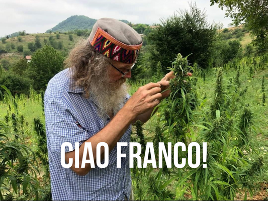 Addio a Franco Casalone, Instancabile Guru della Canapa e Attivista Italiano per la Cannabis Legale