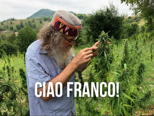 Addio a Franco Casalone, Instancabile Guru della Canapa e Attivista Italiano della Cannabis
