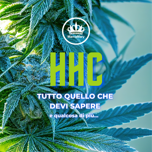 HHC: Un Componente Sintetico della Canapa tutto da Scoprire