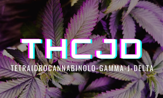 THCJD: Quali sono i suoi Effetti? Scopriamo insieme il THC-JD