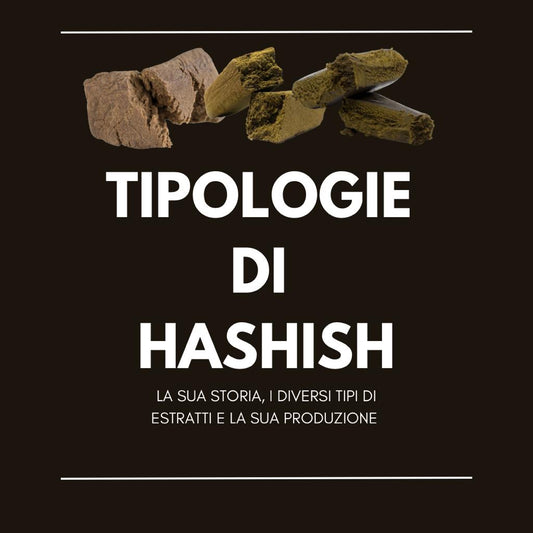 Guida ai Principali Tipi di Hashish Prodotti con CBD