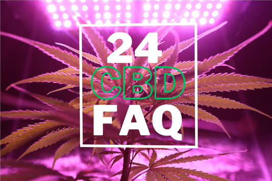 FAQ sul CBD: 24 CBD FAQ - Domande Frequenti sul Cannabidiolo