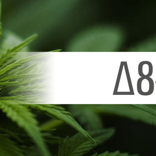 Delta-8-THC: tutto quello che devi sapere sul Delta 8 THC