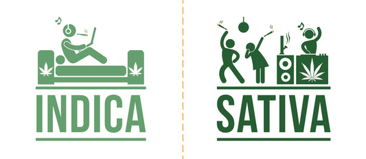 Differenza tra Cannabis Indica e Sativa