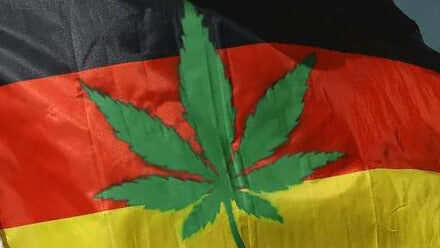 Germania legalizza la cannabis: cosa significa per il consumo ricreativo la cannabis legale in Germania