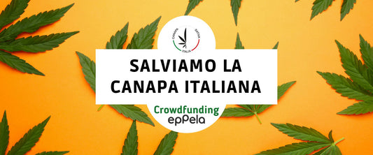 Decreto sul CBD vuole classificare il Cannabidiolo come Sostanza Stupefacente Minacciando il Settore della Cannabis Light