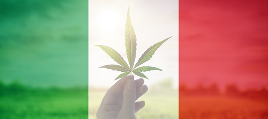 Vittoria per la Cannabis Light: il TAR del Lazio sospende decreto del Governo contro il CBD
