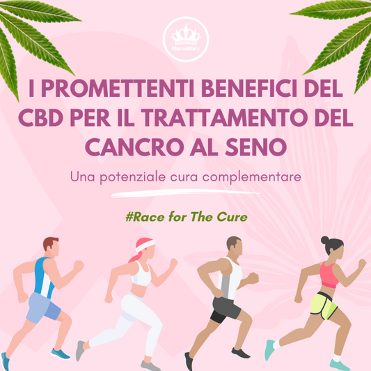 CBD e cancro al seno: Potenziali impieghi della Cannabis nel trattamento del Cancro al seno