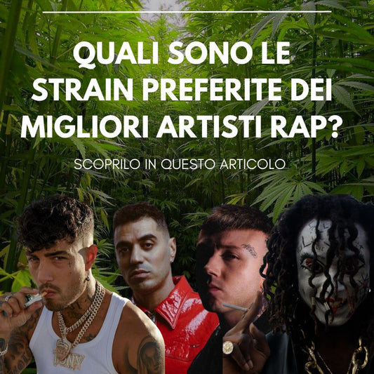Tony Effe, Lazza, Marracash, Sfera Ebbasta, Jesse The Maestro e molti altri: quali sono le varietà di cannabis preferite dai migliori artisti della scena rap & trap italiana?