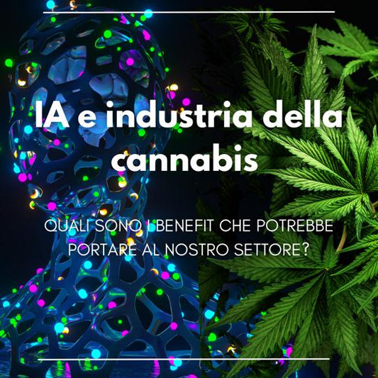 Come l'intelligenza artificiale può cambiare le carte in tavola per l'industria della cannabis