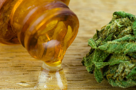 Miele di Canapa: Scopri le Proprietà del Miele alla Cannabis con CBD