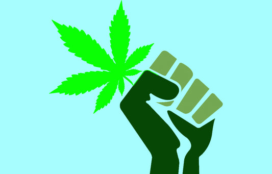 I migliori eventi Cannabici del 2019 selezionati per voi!