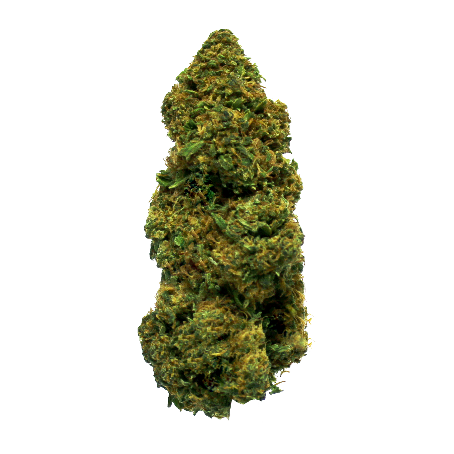 Amnesia Haze - Premium Cannabis Flower
