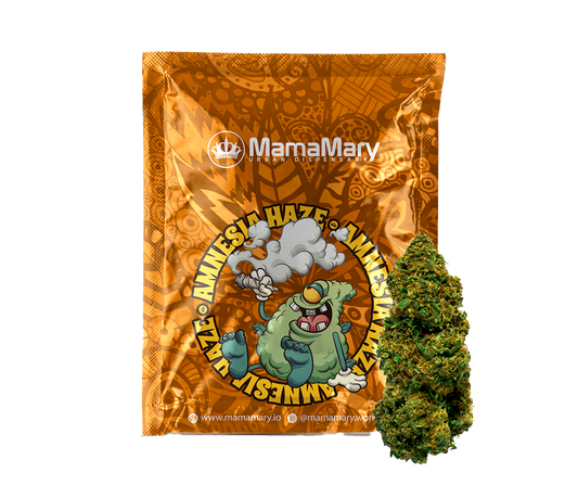 Amnesia Haze - Blütenstände von Cannabis Light
| THC < 0.2% CBD > 25%