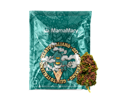 Gelato - Cup Winner - Premium Cannabis Flowers
