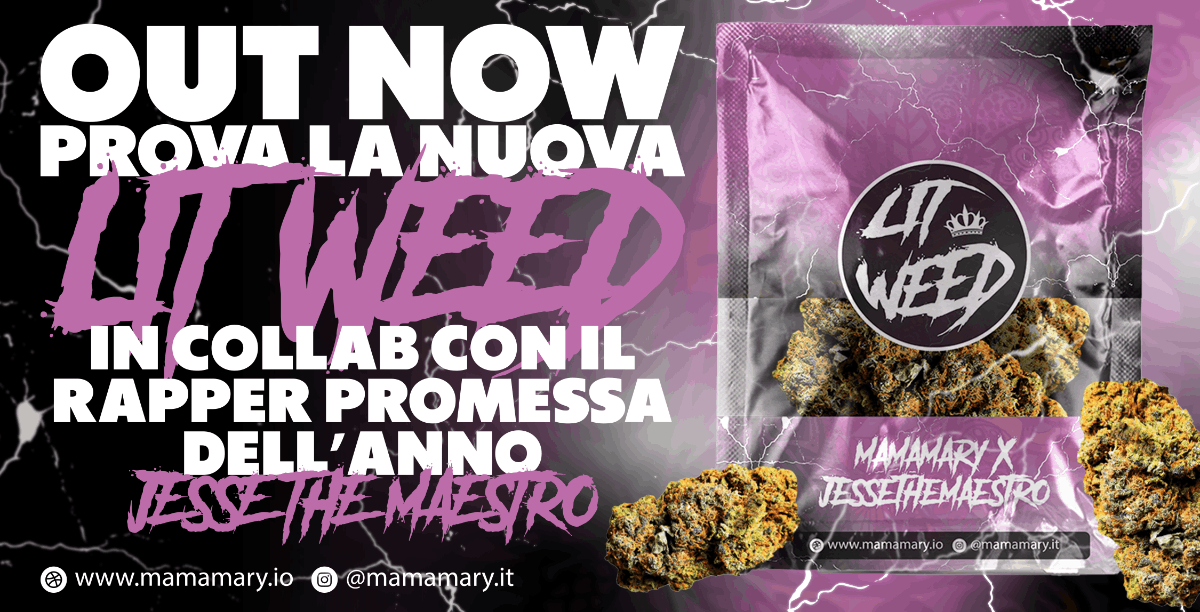 Edizione speciale di un MamaMary LITWEED in confezione viola