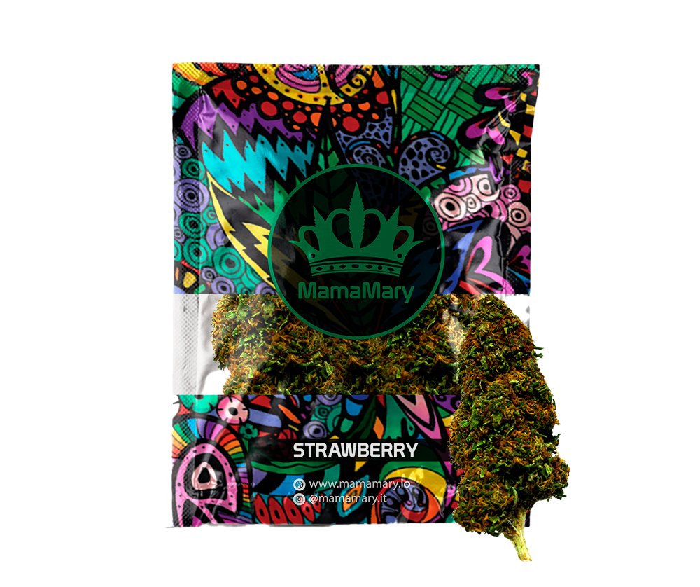 Strawberry OG - Marijuana Sativa