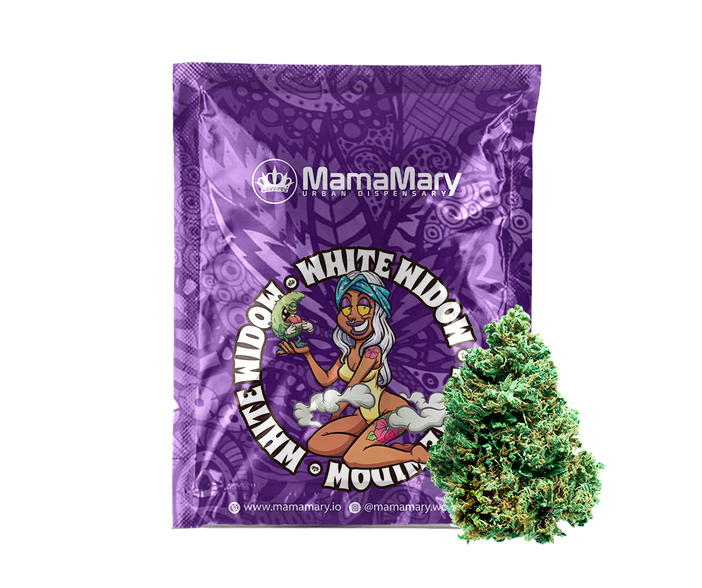 White Widow Cannabis | THC < 0.2% CBD > 25% az – mamamary