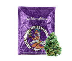White Widow Cannabis Strain from Amsterdam