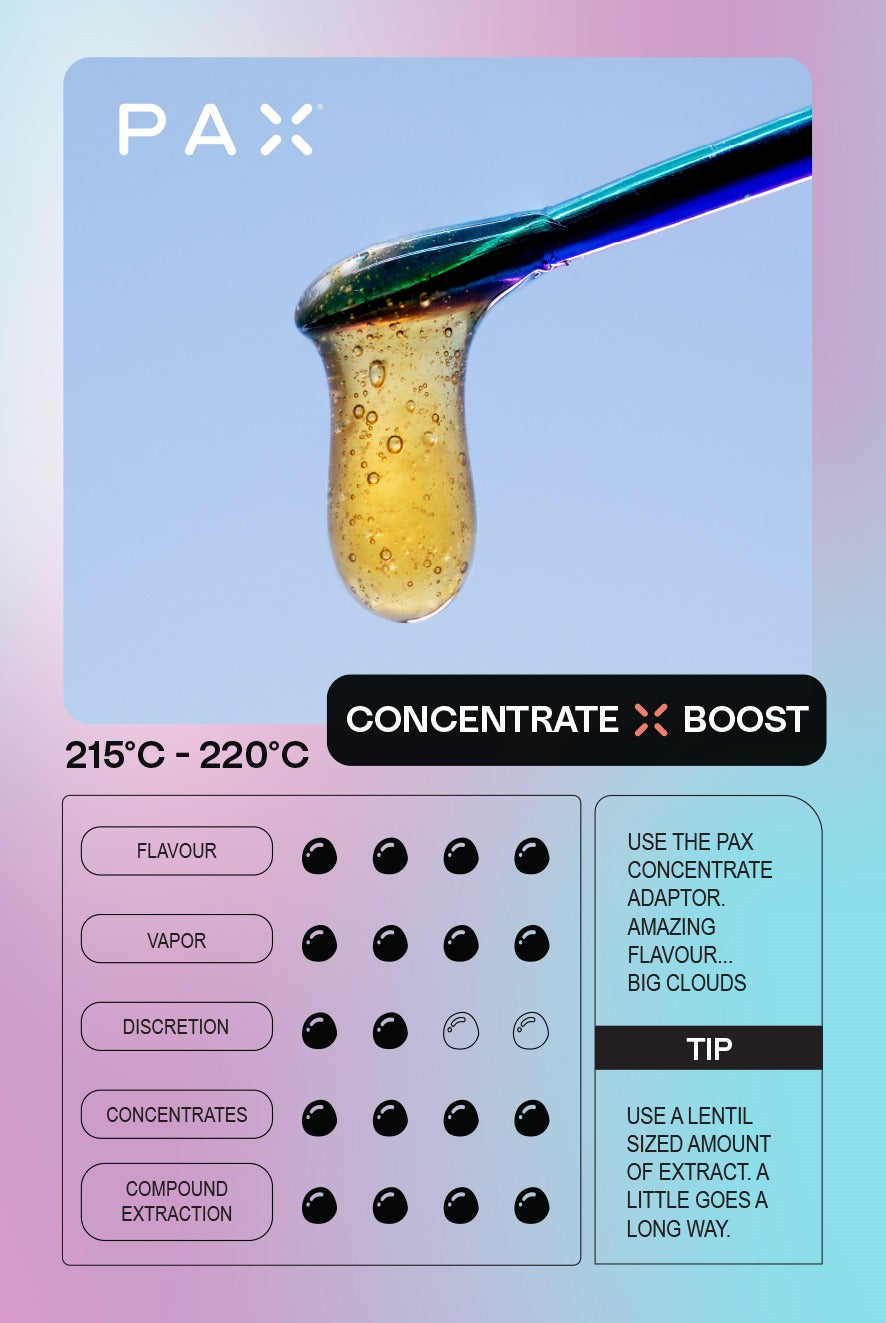 PAX Plus (DRY HERB + CONCENTRATE)