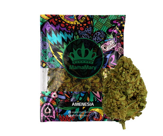 Amnesia