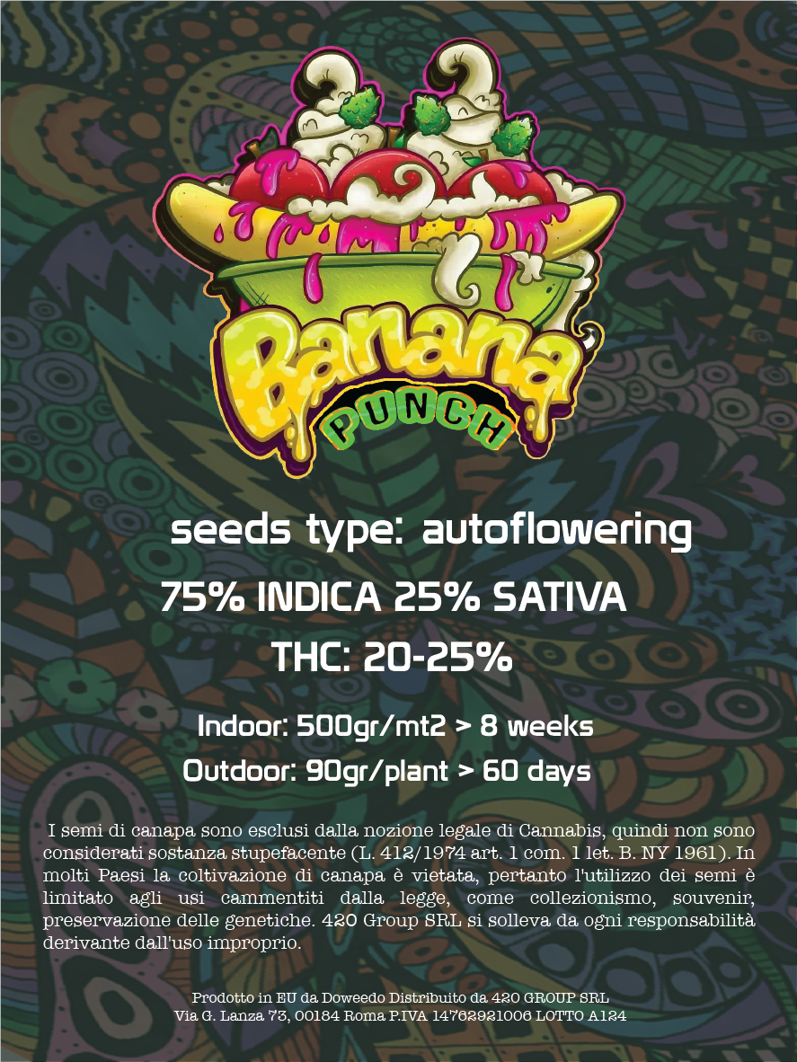 Banana Punch Semi di Cannabis Femminizzati THC Auto Seeds | THC 20-25%  - MamaMary
