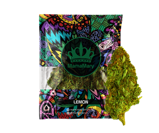 Super Lemon Haze - Original Cannabis Buds