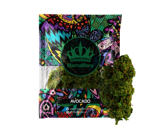Avocado Kush