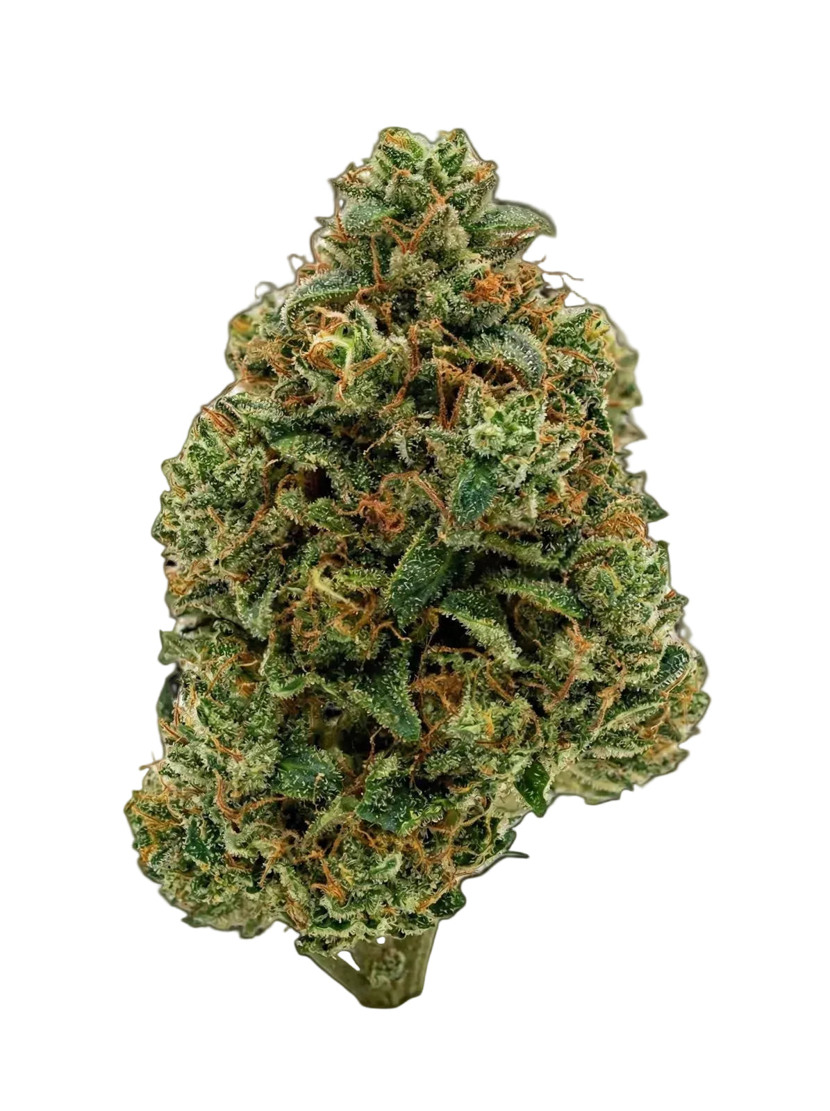 Super Skunk: Premium Erba Flower — Indica-Dominant Hybrid Guide