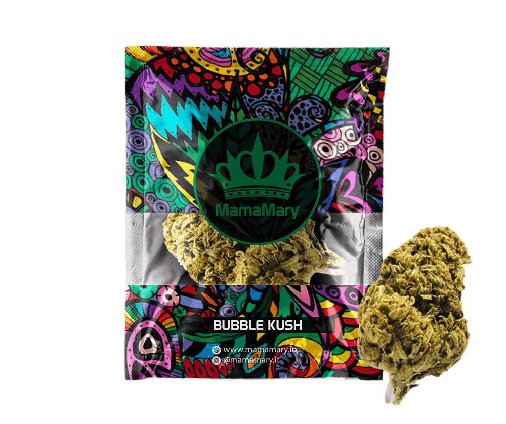 Bubble Kush | CBD <20%,THC < 0.2%, HHC 0% - mamamary