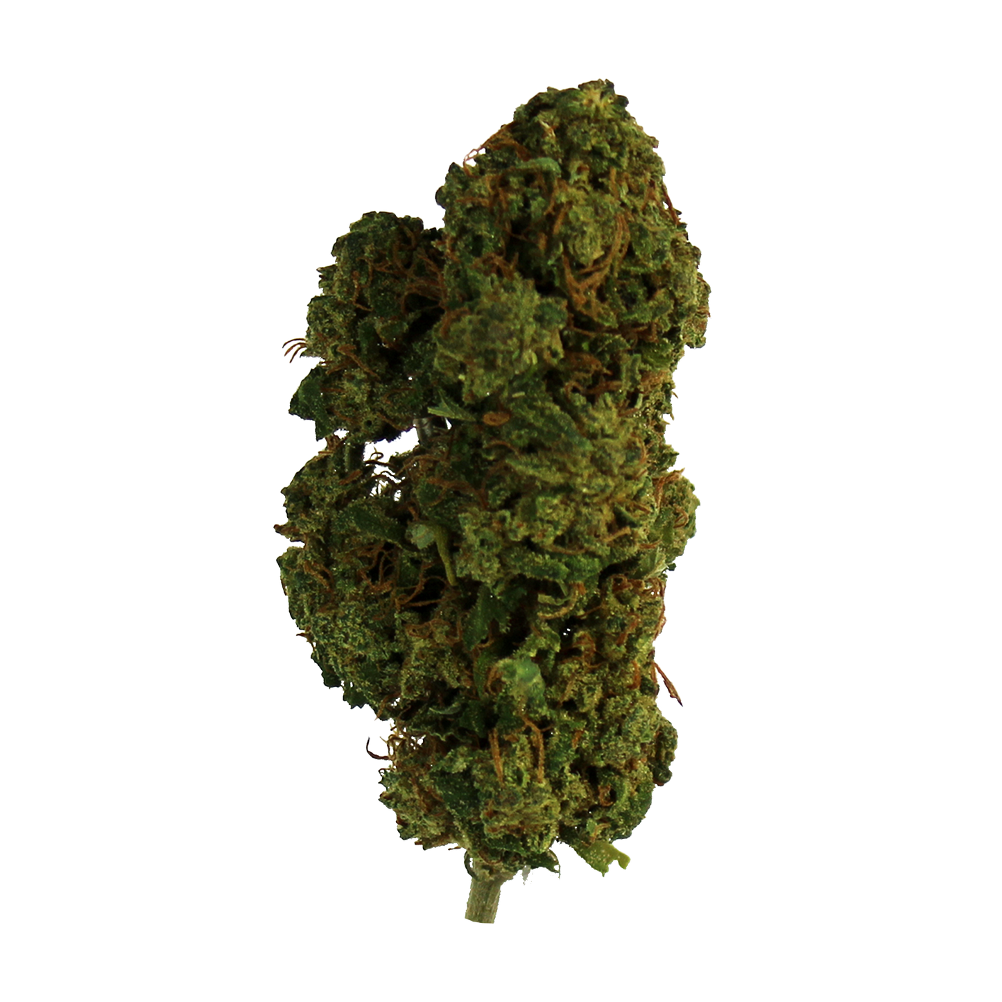 Fiore CBD di AVOCADO KUSH