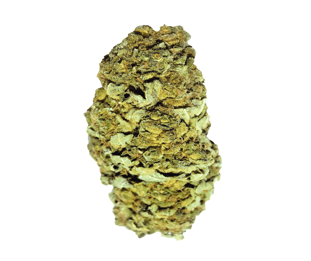Cookies | CBD < 20%,THC < 0.2%, HHC 0% - mamamary