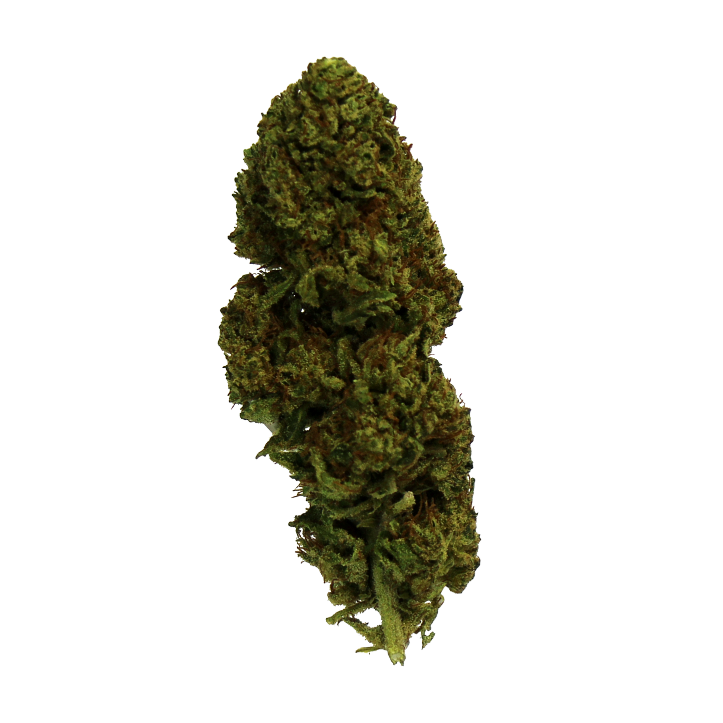 Fiore di CBD al gusto di Gorilla Mandarine