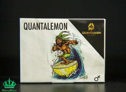 Semi Cannabis Femminizzati da Collezione: Quantalemon THC: 21.00% CBD - mamamary