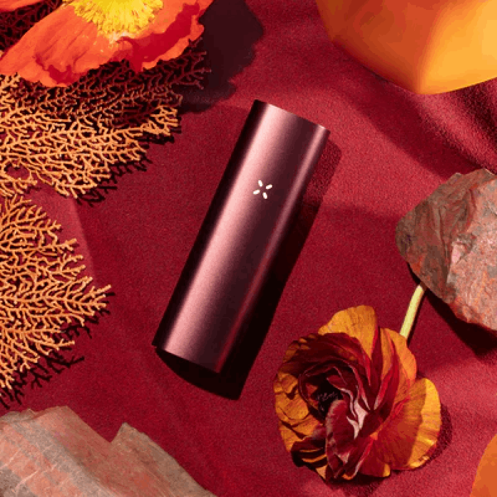 PAX 3 (DRY HERB + CONCENTRATE) - mamamary