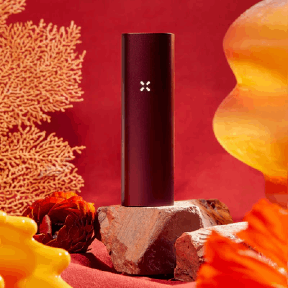 PAX 3 (DRY HERB + CONCENTRATE) - mamamary