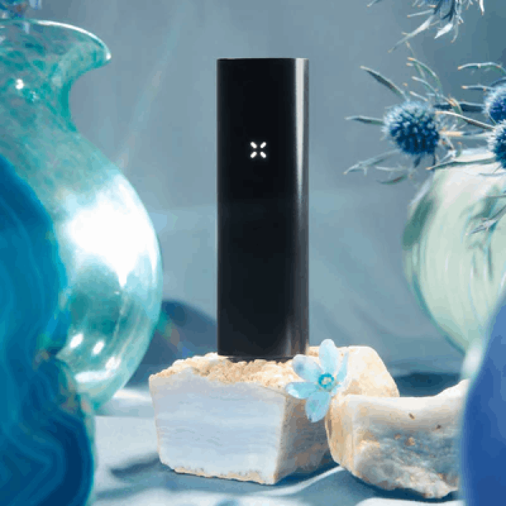 PAX 3 (DRY HERB + CONCENTRATE) - mamamary