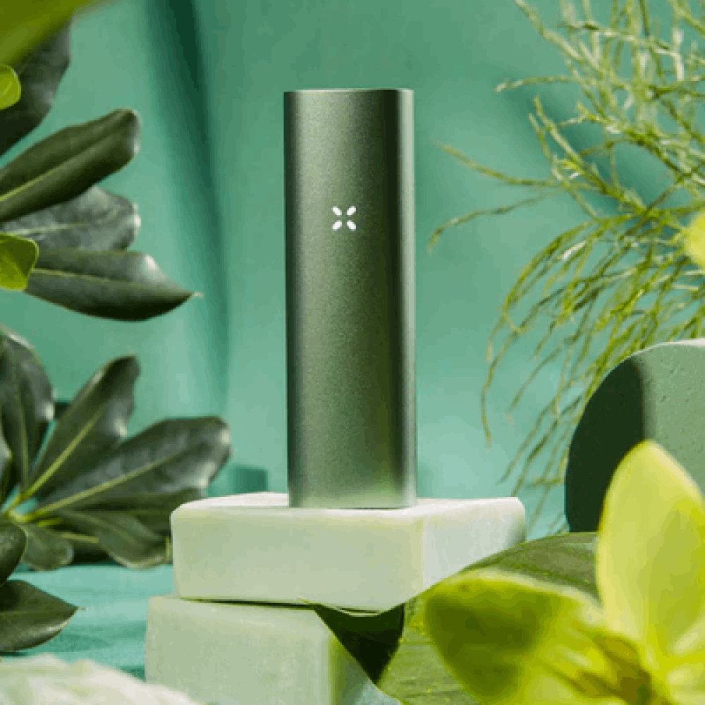 PAX 3 (DRY HERB + CONCENTRATE) - mamamary