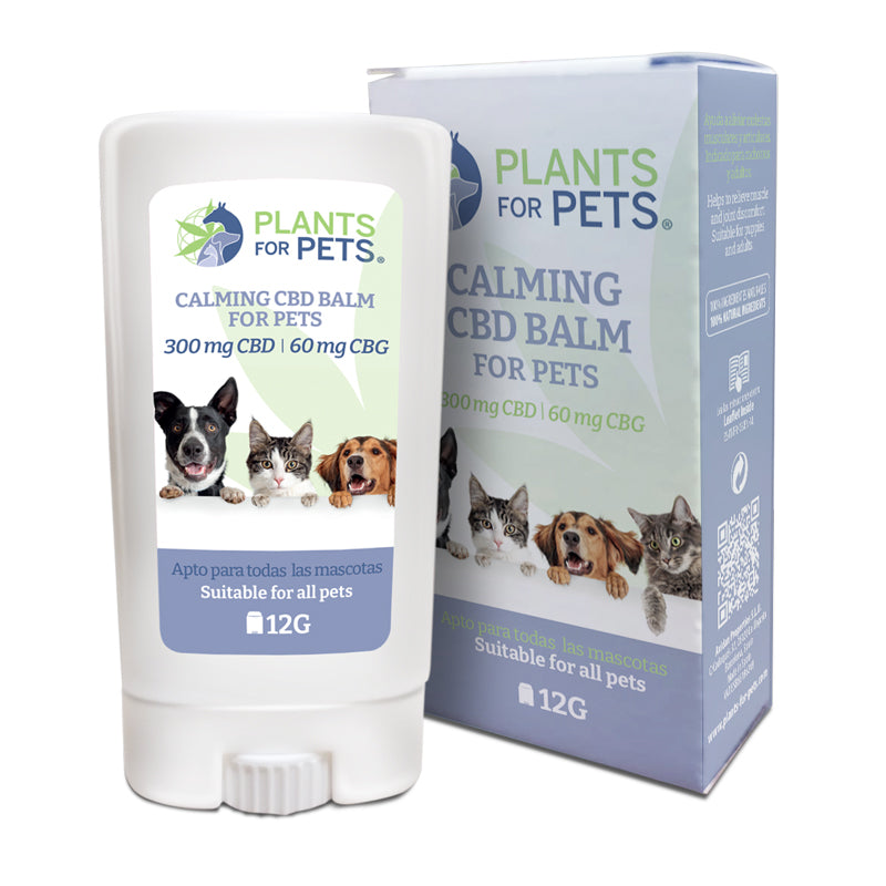 calming cbd balm for pets, plants for pets