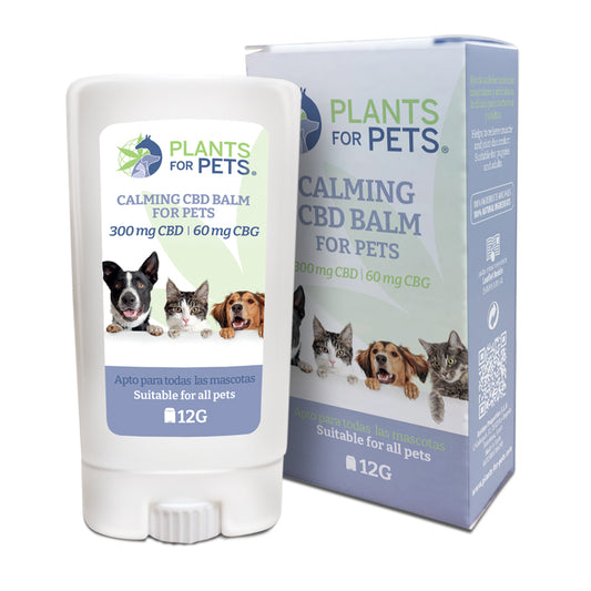calming cbd balm for pets, plants for pets