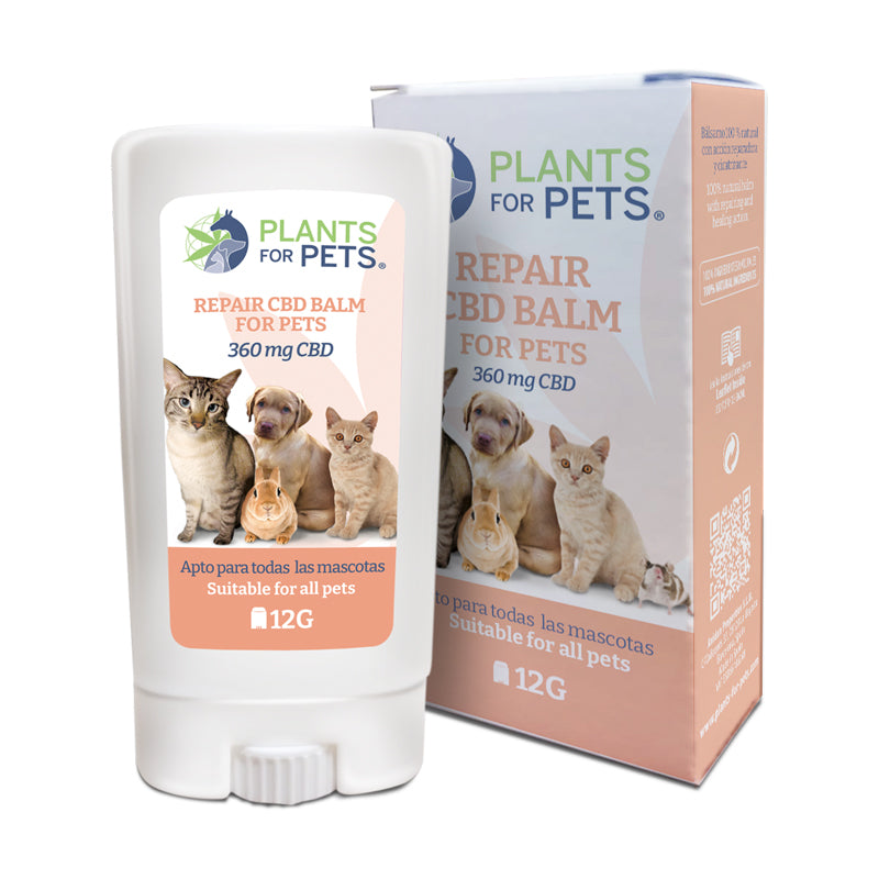 Repair CBD Balm for pets, Plants for Pets