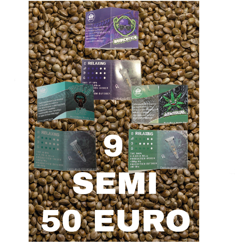 COMBO SEEDS PACK 🌱 - mamamary