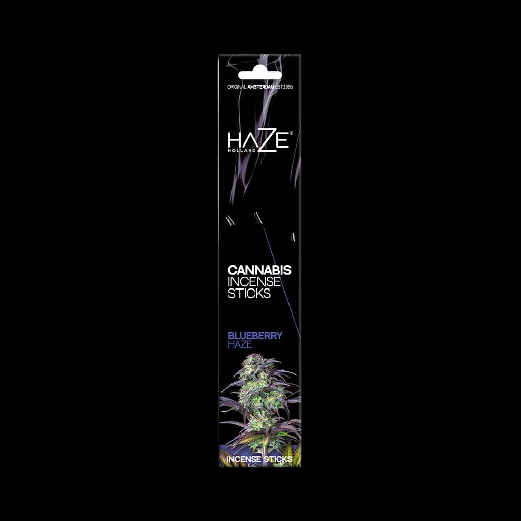 Box of blueberry haze cannabis scented incense sticks
