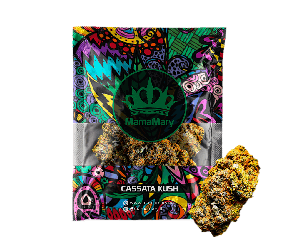 Confezione di Cassata Kush | CBD >30%, THC <0,2%, HHC 0% - MamaMary