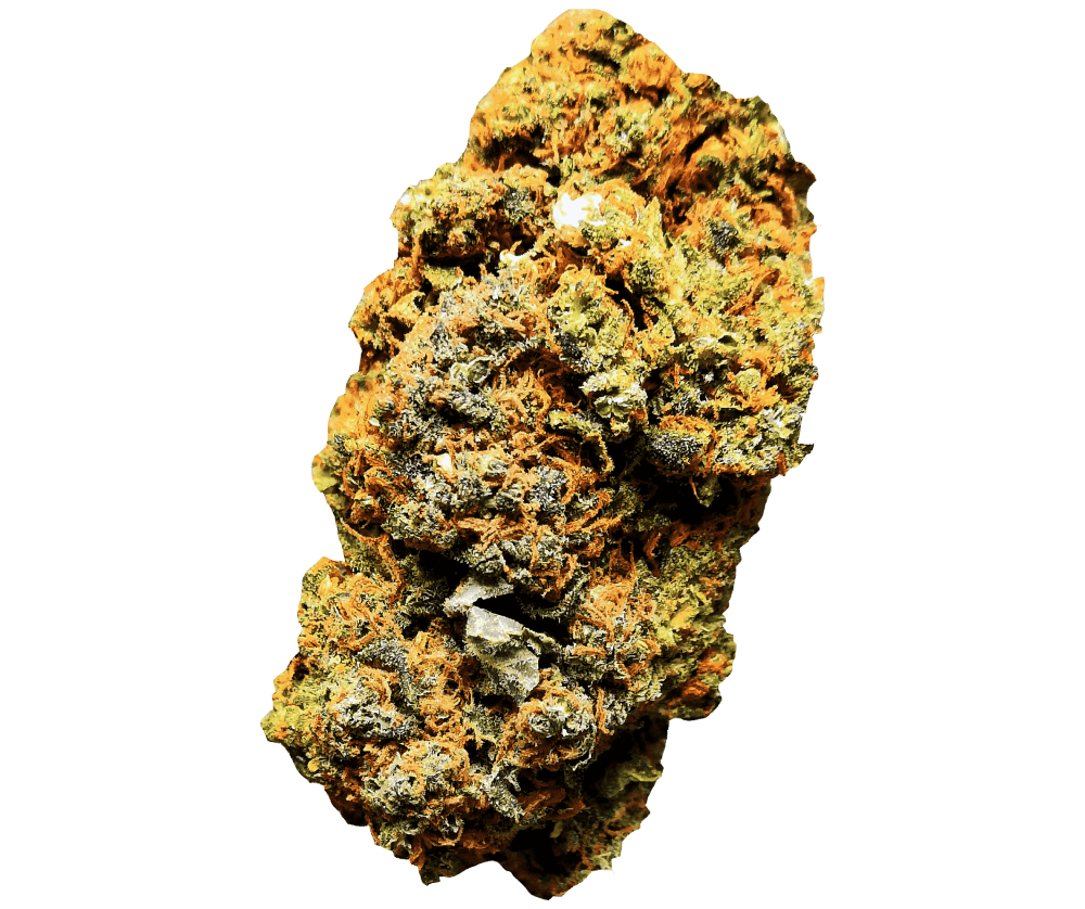 CBD Fiore di Cassata Kush | CBD >30%, THC <0,2%, HHC 0% - MamaMary