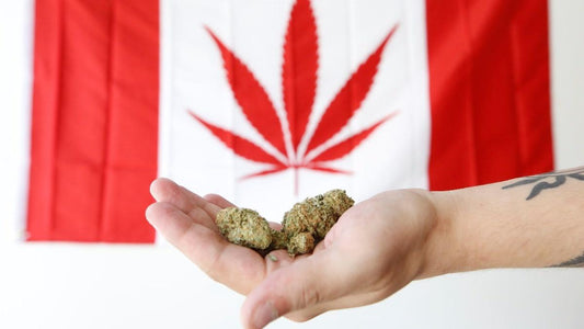 Il Canada paga l'intero debito un giorno dopo la legalizzazione della Marijuana