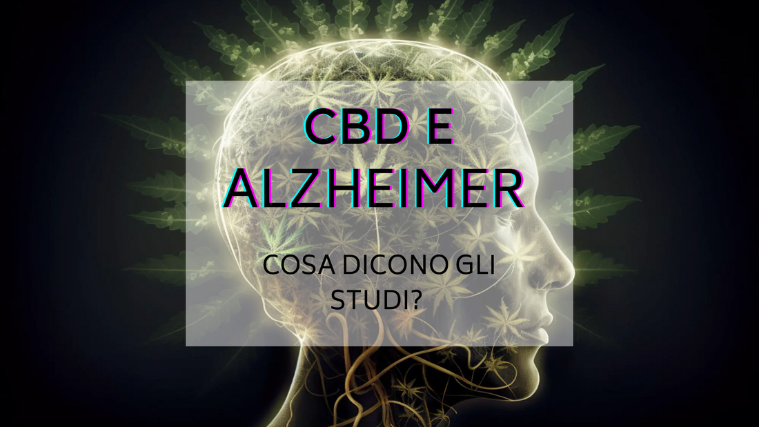 Il CBD nel trattamento del morbo di Alzheimer