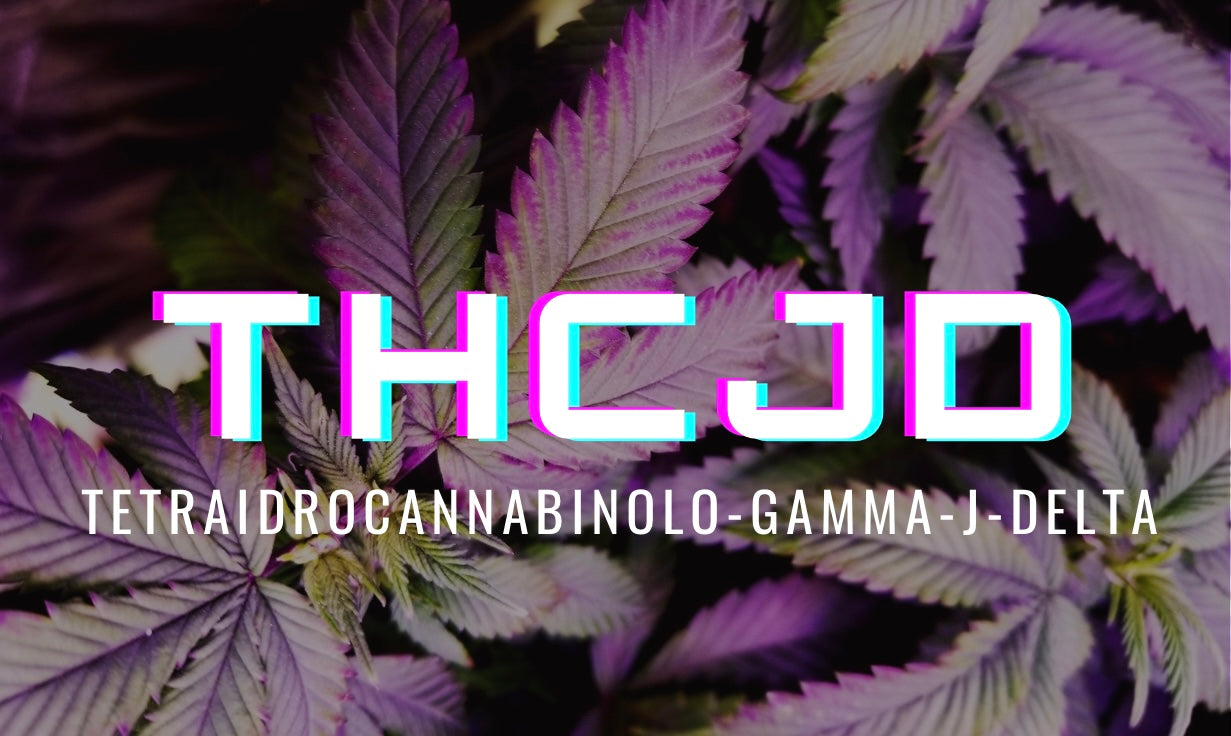 THCJD: Quali sono i suoi Effetti? Scopriamo insieme il THC-JD