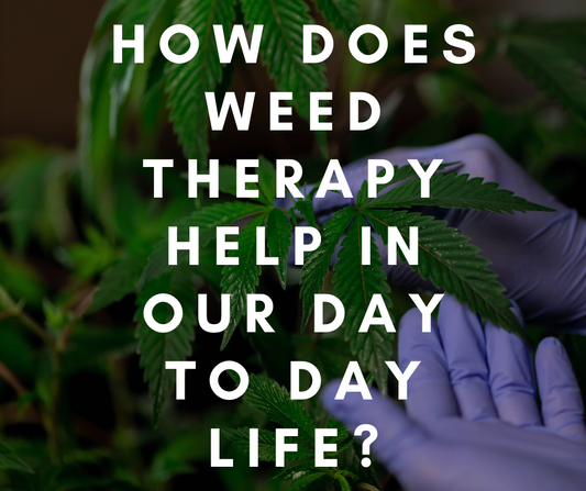 In che modo la Weed Therapy aiuta nella tua vita quotidiana?